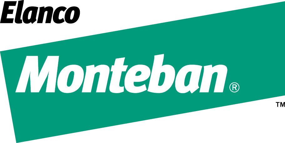 Monteban