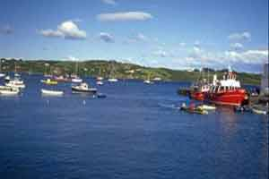 Schull Farmers Market