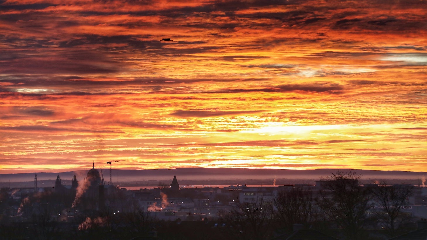 Laugh the day away at the Galway Comedy Festival.