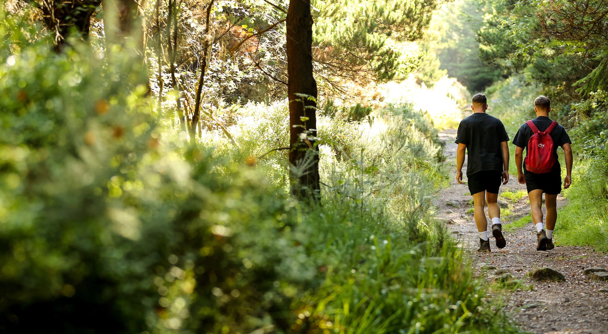 Hikers on the Glen of Aherlow - Rock an Thorabh Loop in Co Tipperary