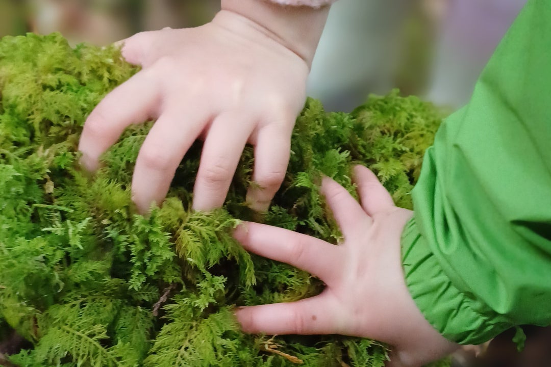 Families in the Forest is jam-packed with sensory activities the whole family can enjoy.