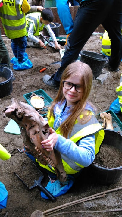 The Big Dig: A Viking Adventure for Kids