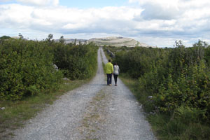 Burren Experience Guided Walks