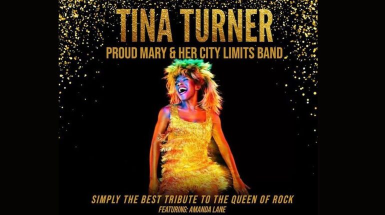 Simply the Best Tina Turner Tribute show, a woman in a gold dress singing