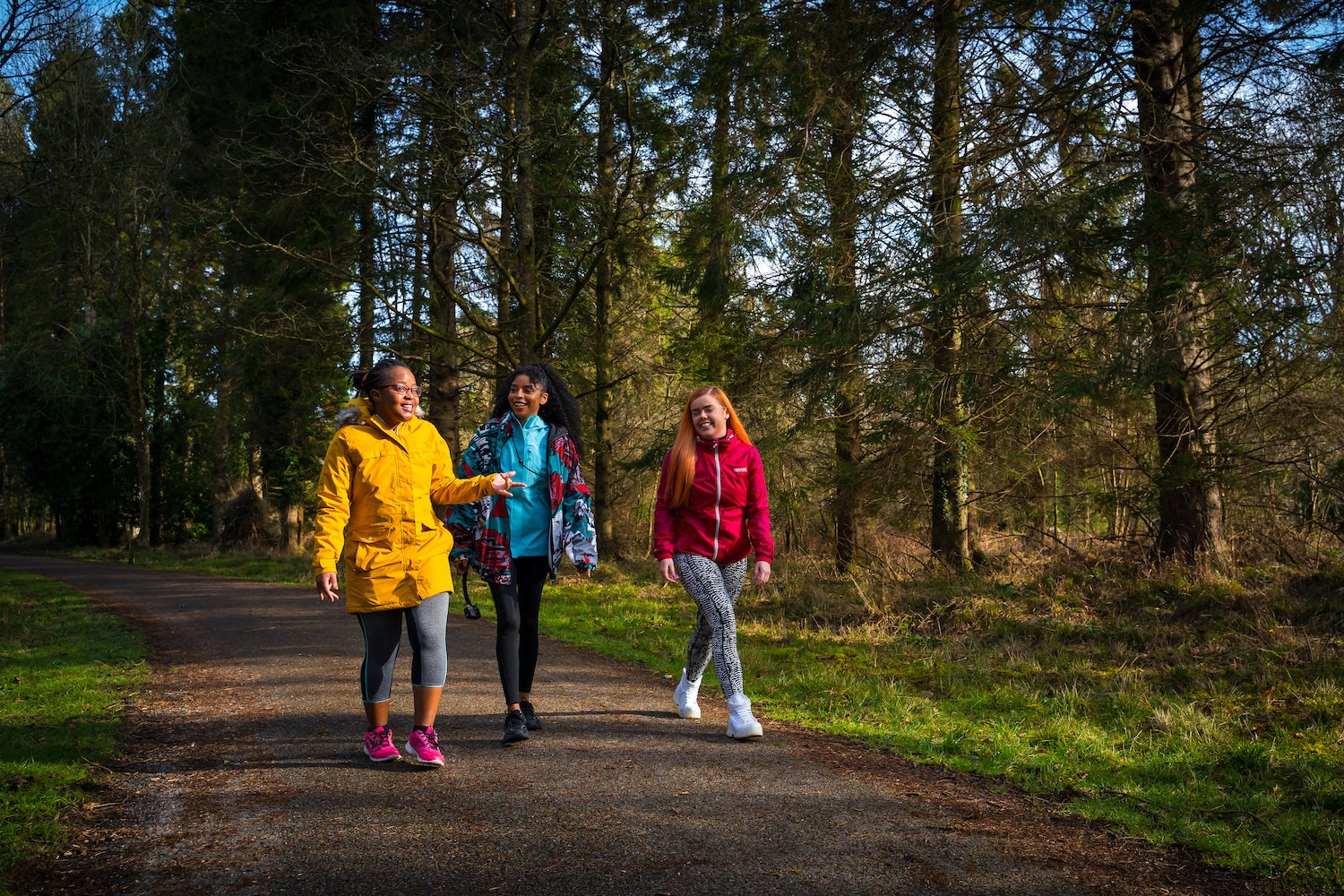 People in Portumna Forest Park in Co Galway