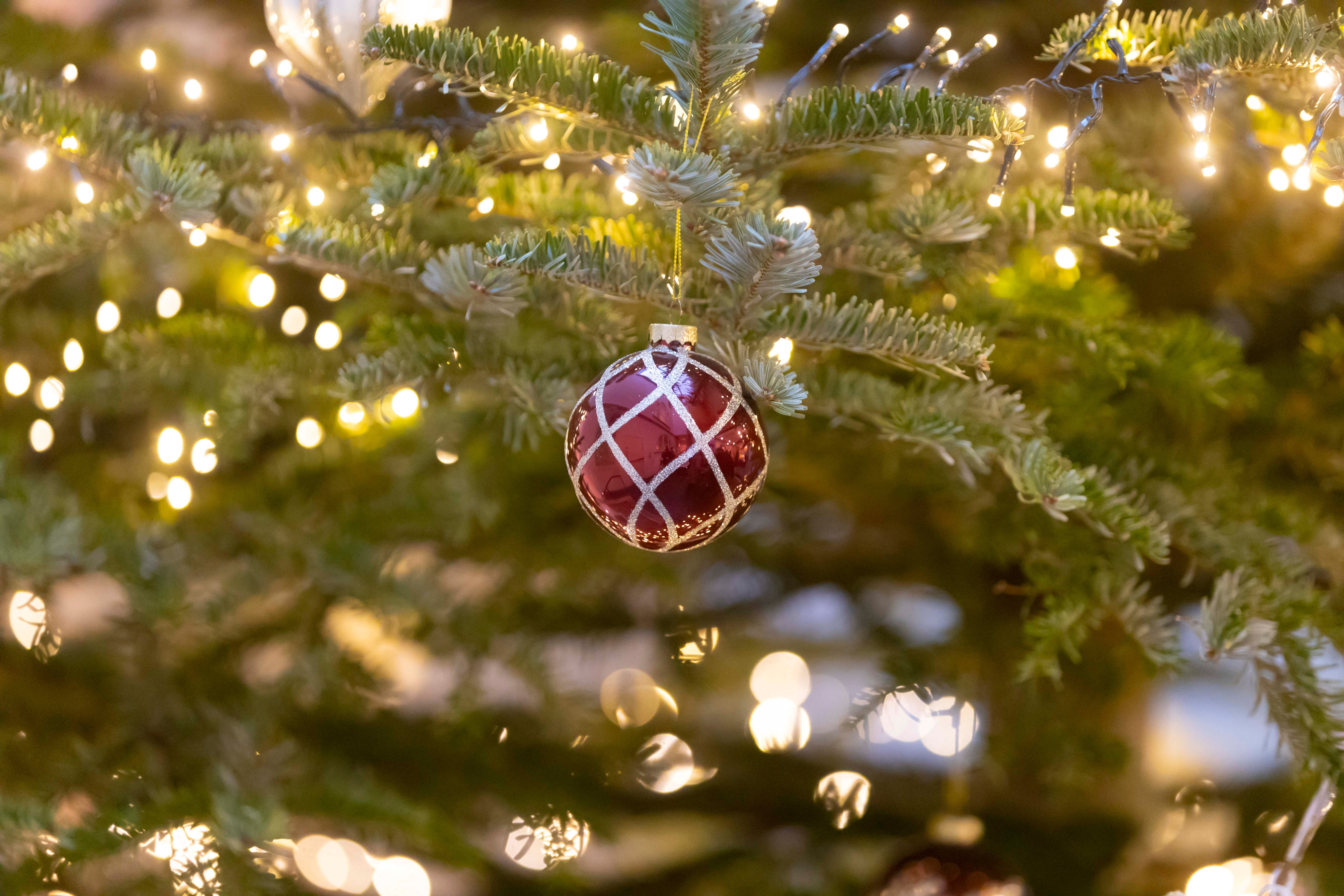 Victorian Christmas at the Waterford Treasures