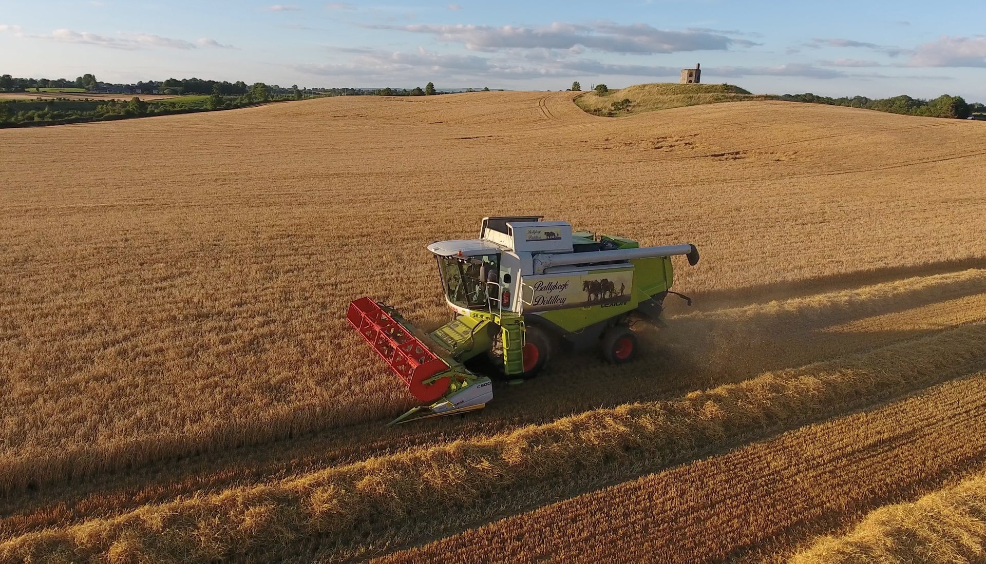 A harvester harvests ripe barley in a field at Ballykeefe Distillery