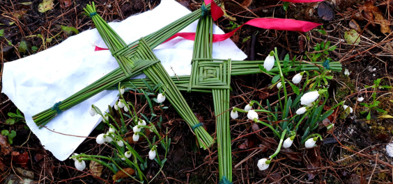 2 handmade green Brigid crosses on the ground with snowdrops and a white cloth