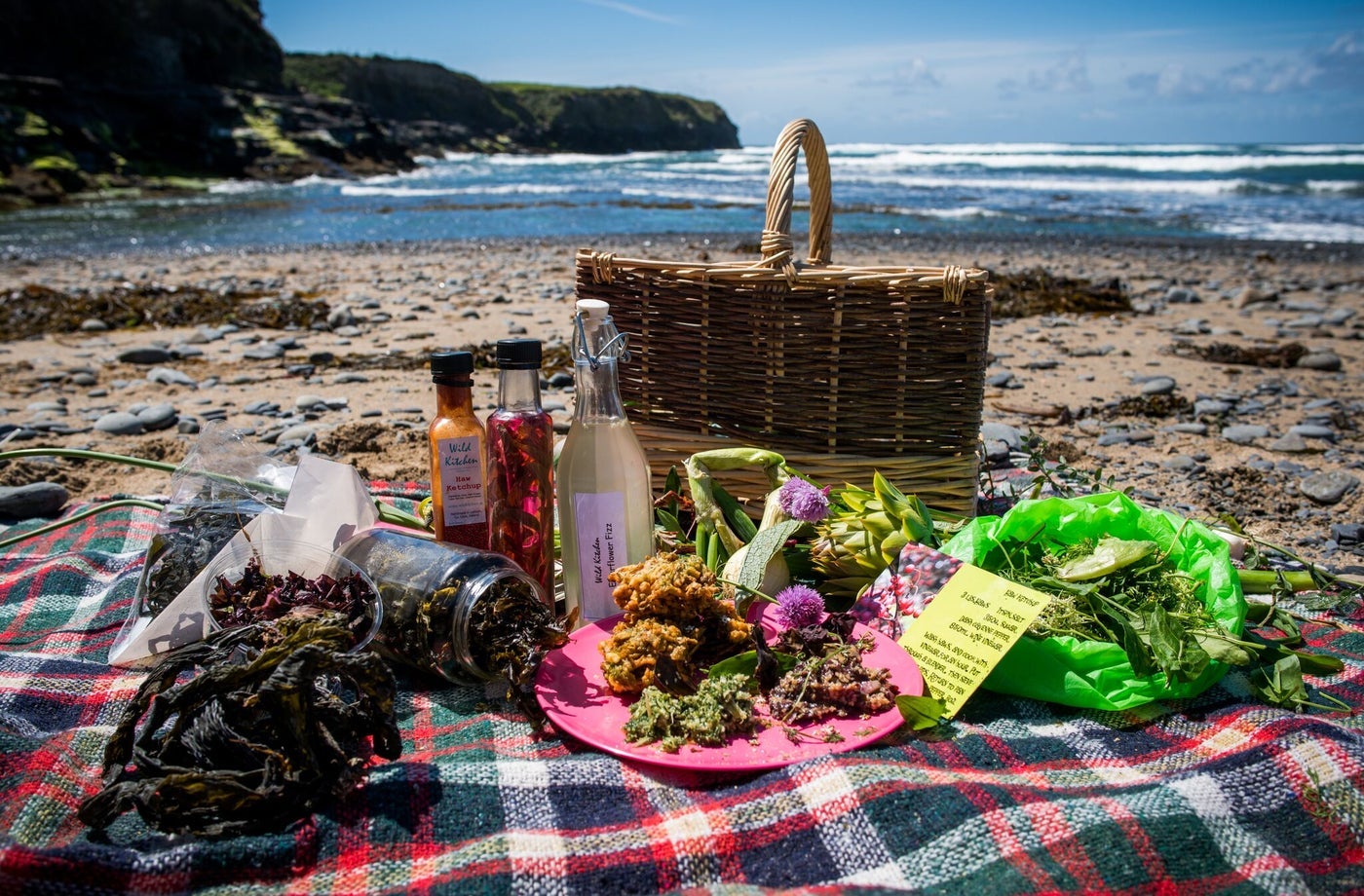 Wild Kitchen, Wild Food Walks on Land & Seashore