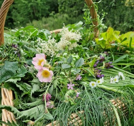 A woven basket with wild plants and flowers