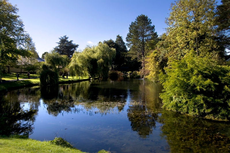 Lake in the Japanese Gardens, Co. Kildare