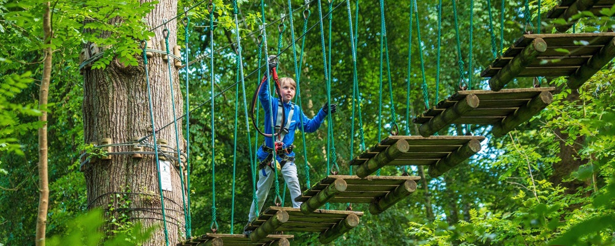 A young boy at the start of a rope bridge high in the treetops