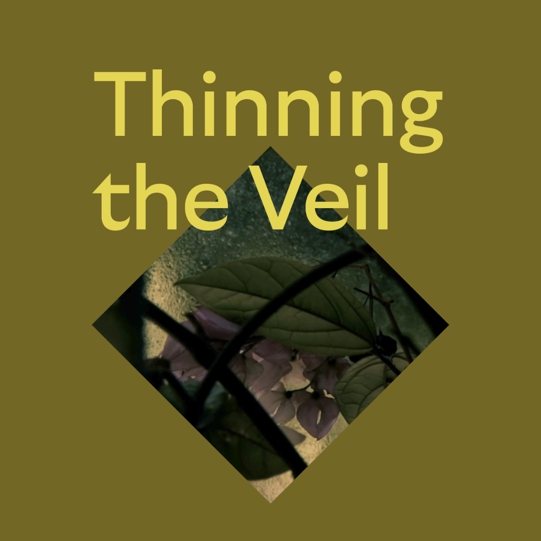 Thinning the veil event image