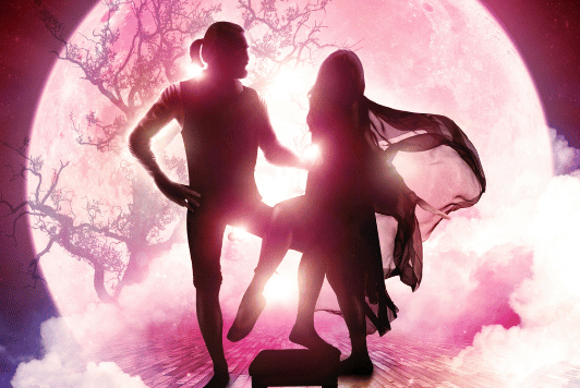 Go Your Own Way, silhouette figures of 2 people against large, pink lit moon with bare tree outlined.
