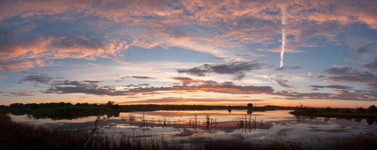 Lough Boora Discovery Park