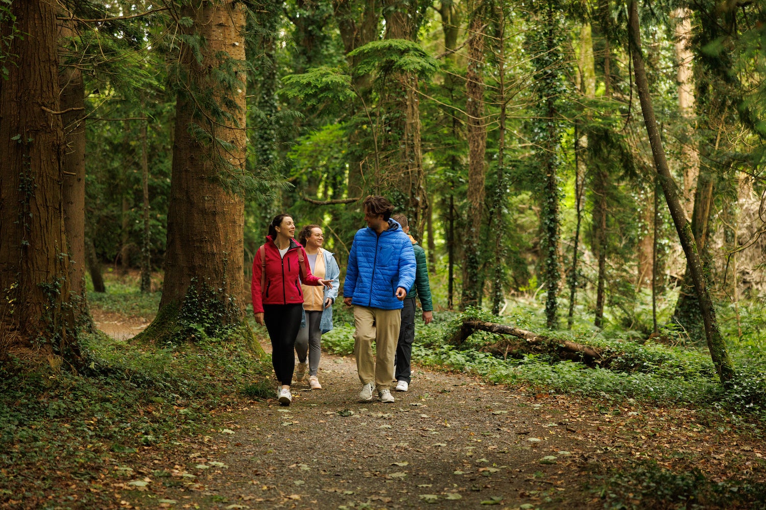 People hiking through Dun na Rí Forest Park in Co Cavan
