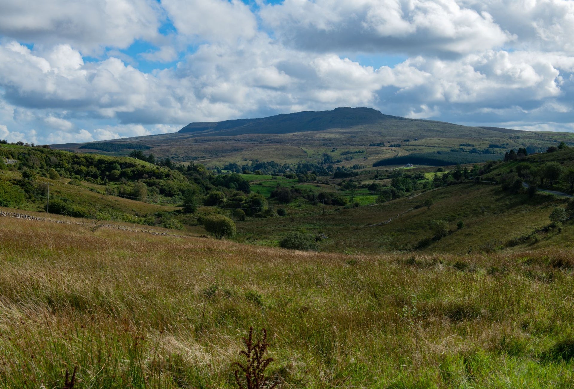 View of a distant mountain across Cavan Burren Park