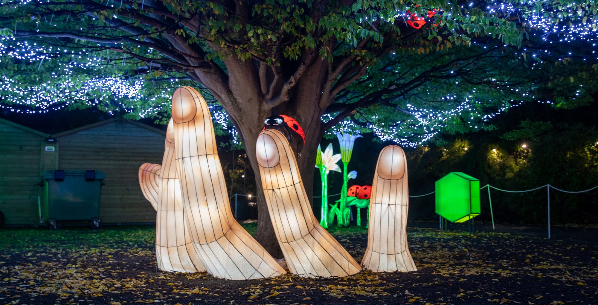 A light installation at the Wild Lights show in Dublin Zoo