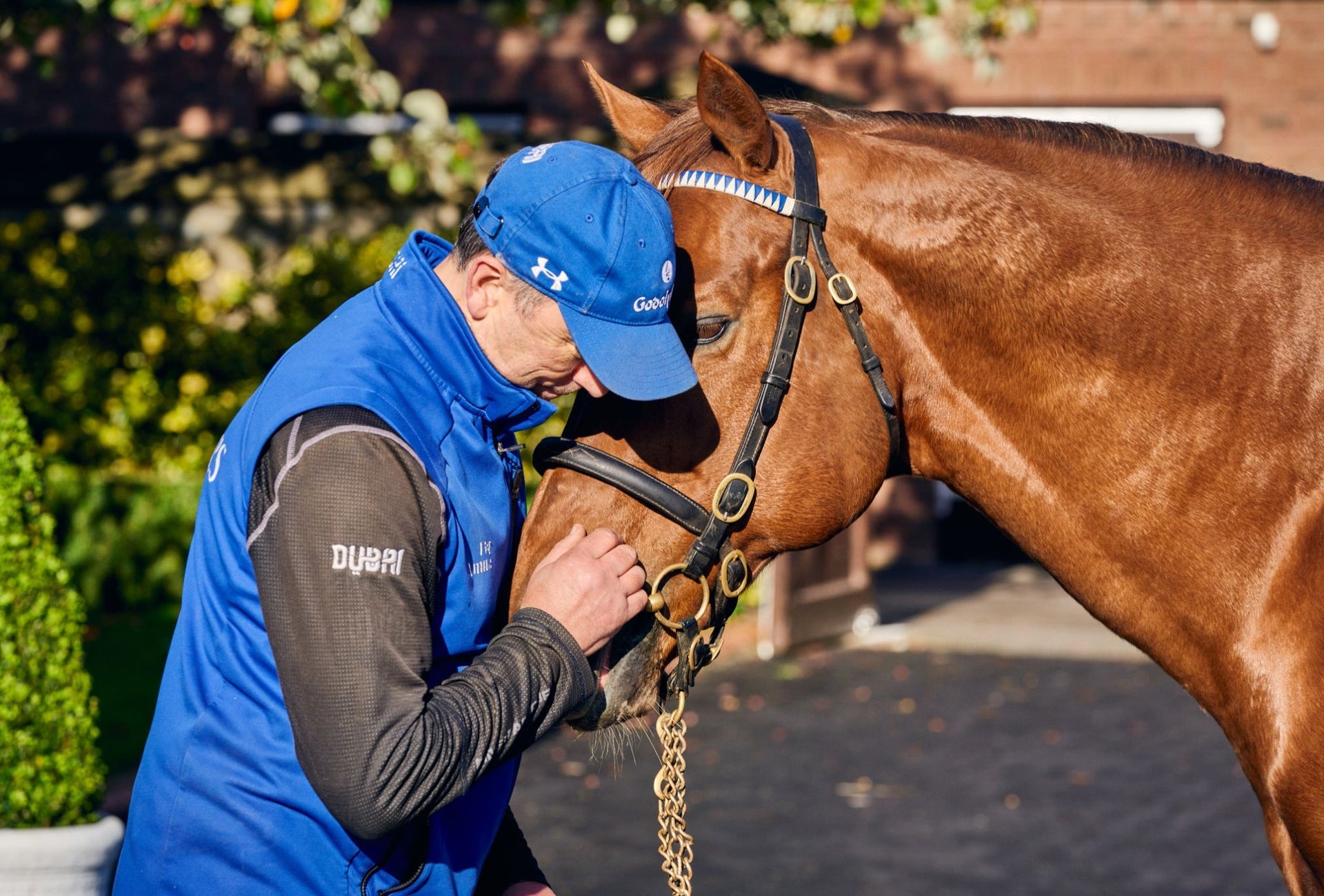 A man pats a horses nose