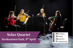 Solas Quartet - Strokestown Park, 4 seated people in a half circle playing stringed instruments.