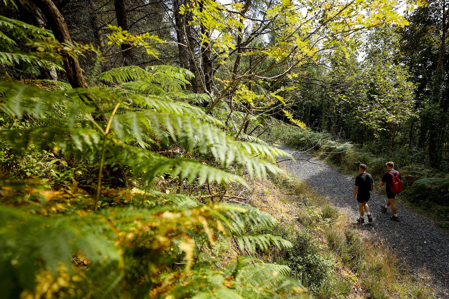 Two men hiking through the Glen of Aherlow in County Tipperary.