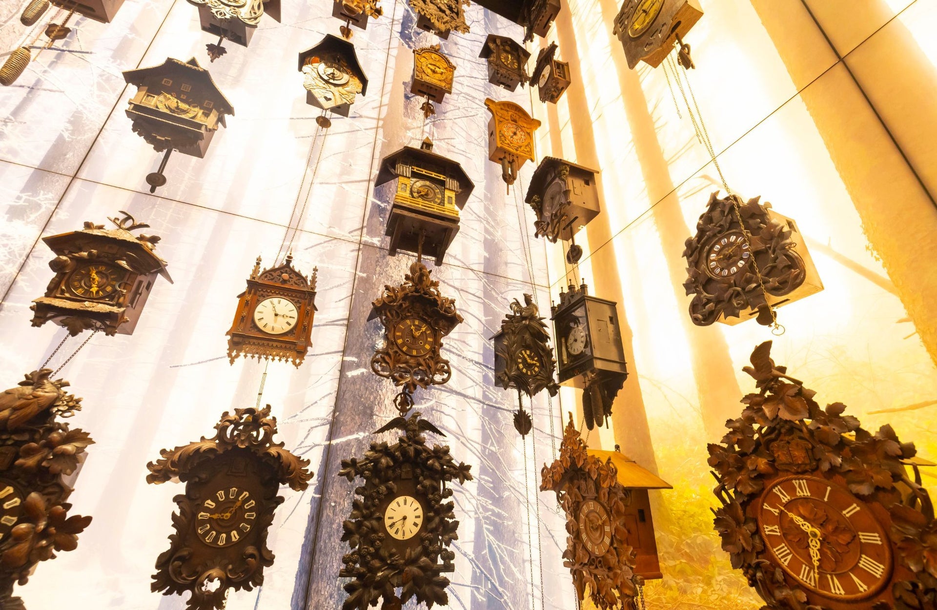 A wall display of suspended assorted cuckoo clocks