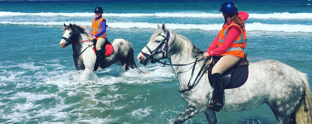 Dingle Horse Riding horses cooling down in the sea