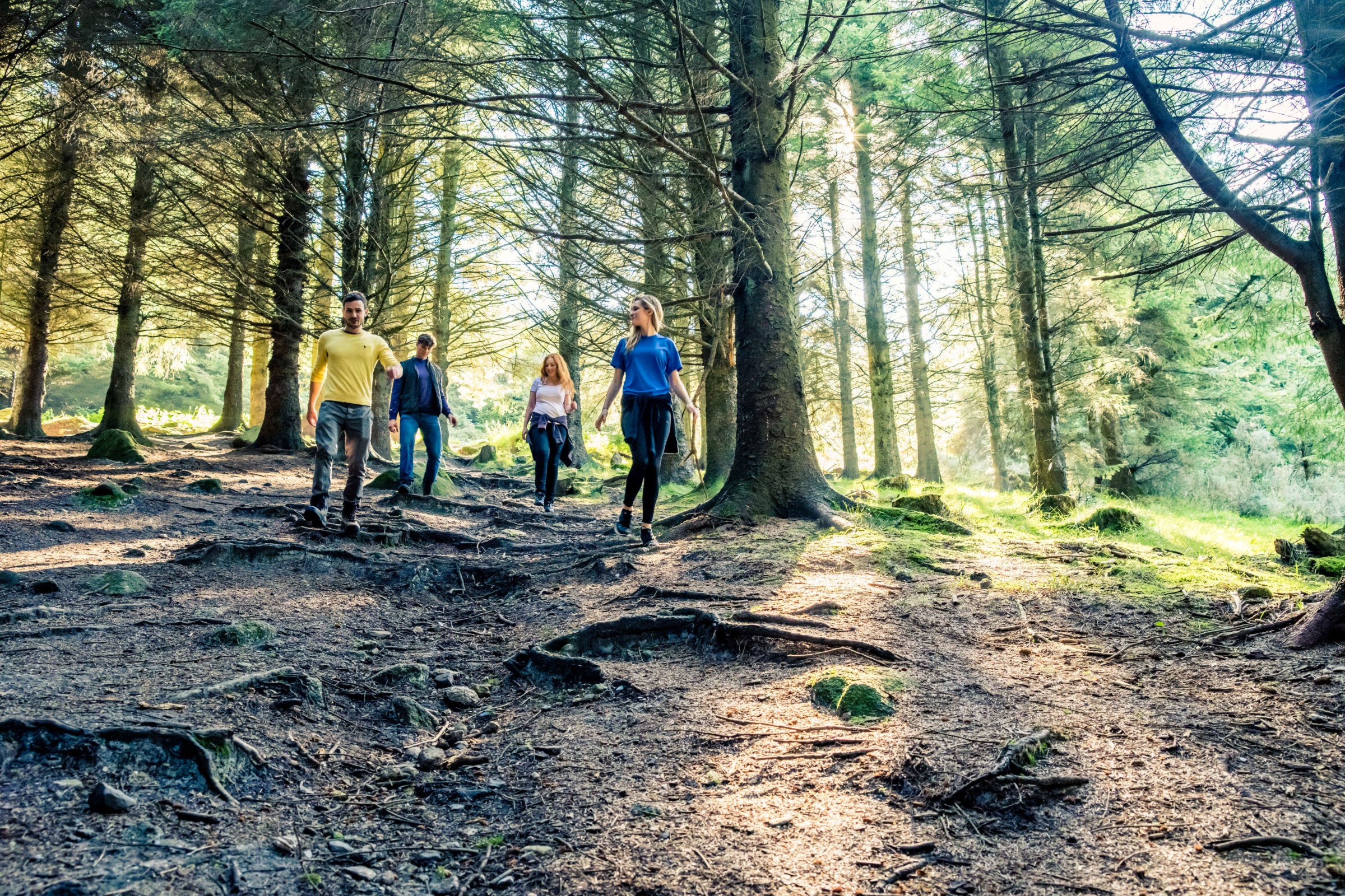 Hikers in the Dublin Mountains on a sunny day