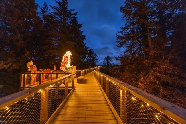 The beautifully illuminated treetop walkway with woodland creatures