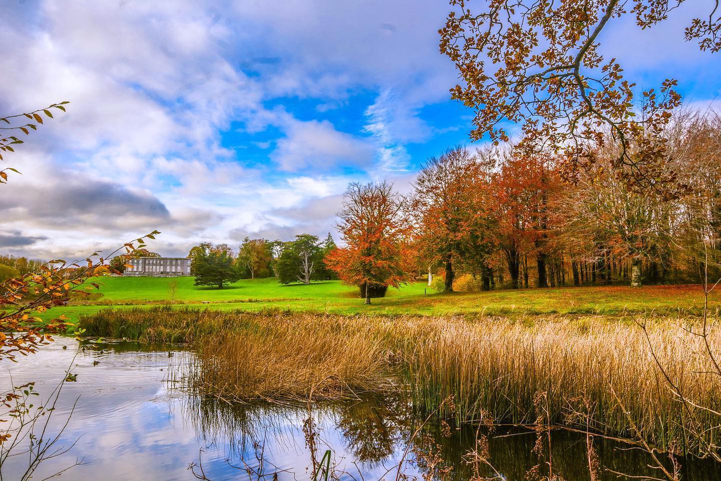 Experience the Curragh Chase Glenisca Trail in Co Limerick.