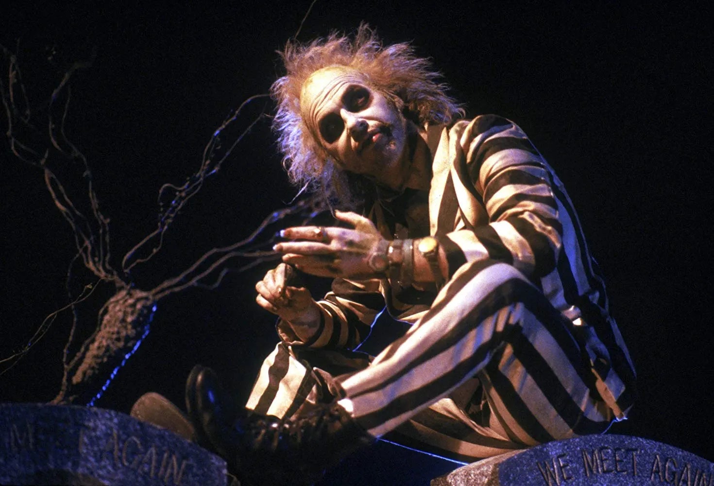 Beetlejuice is sitting by a tree, looking up at something.