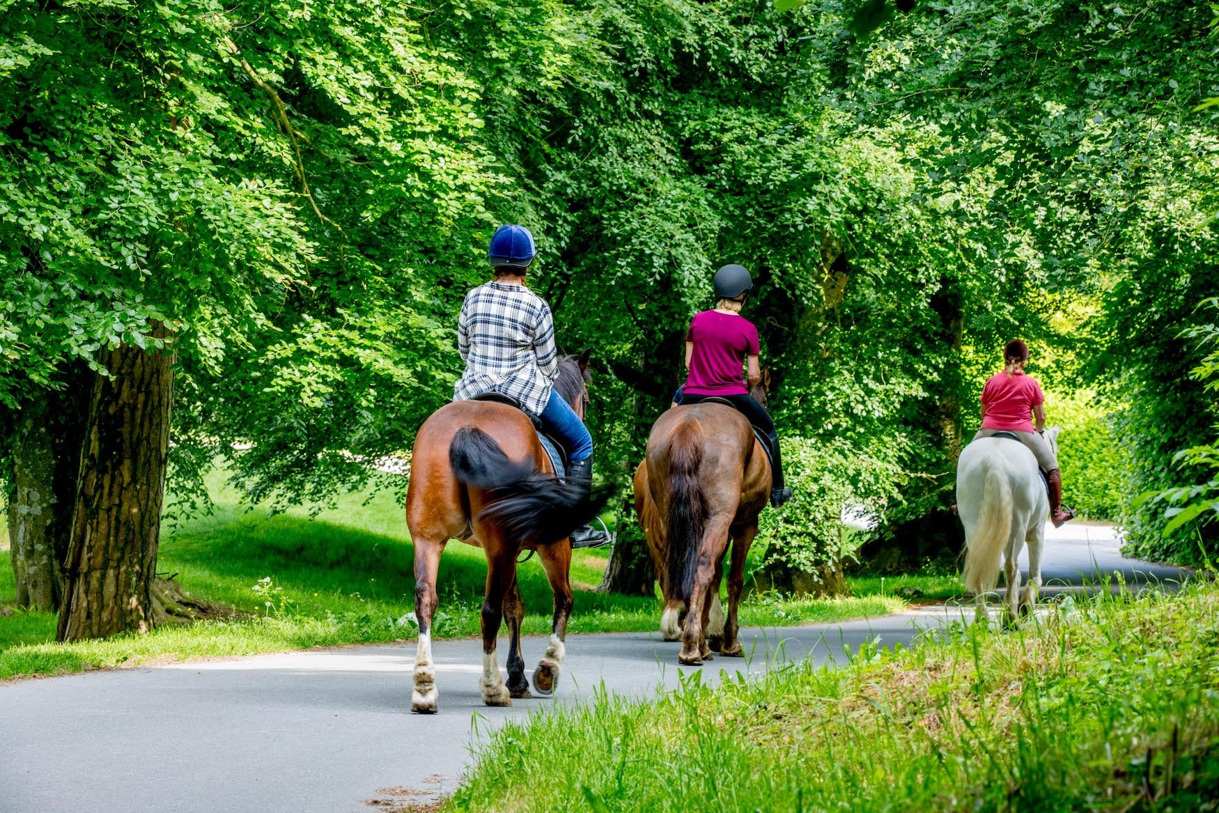 People horse riding at Mount Juliet Estate, Co Kilkenny