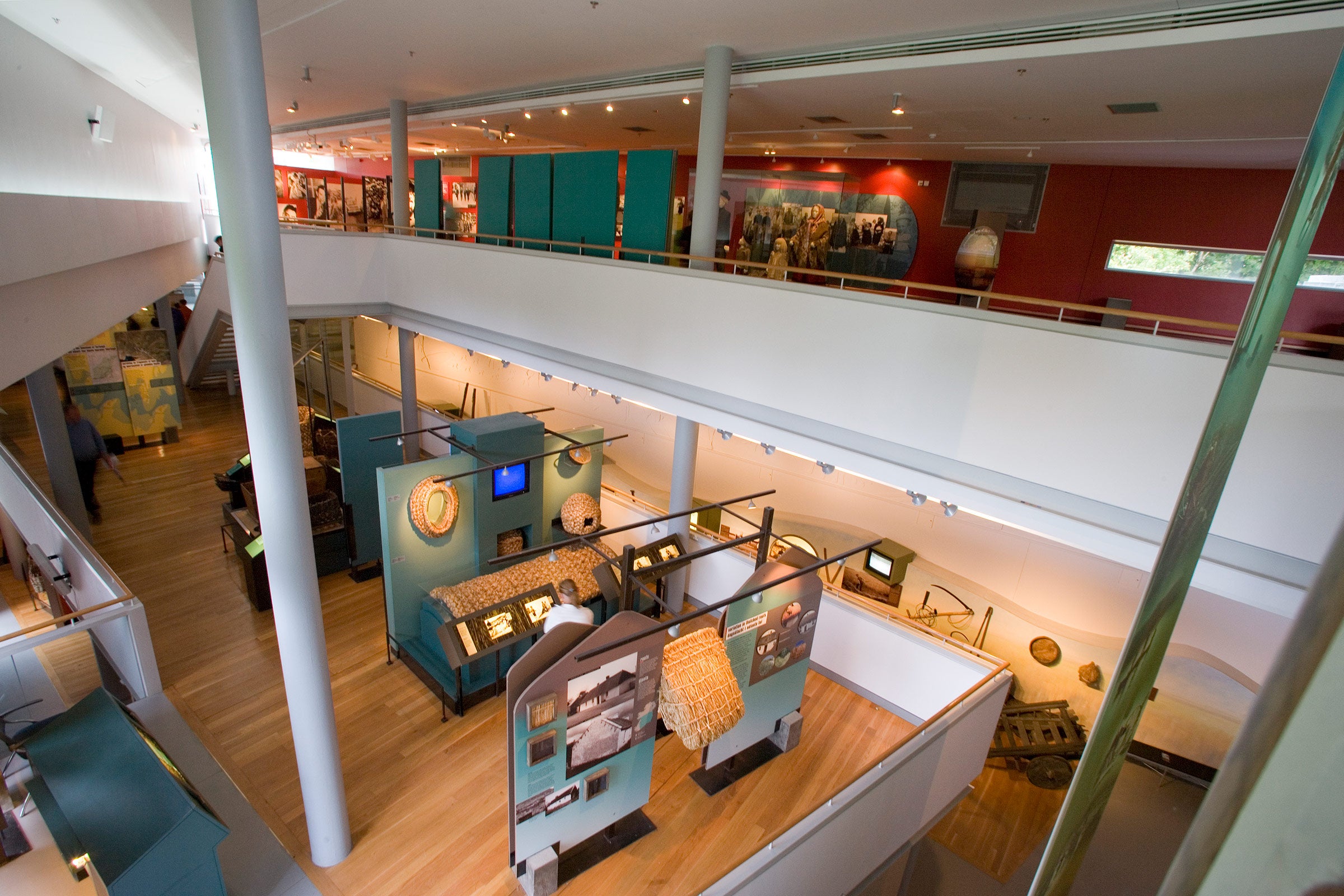Visual displays on show inside the National Museum of Ireland - Country Life