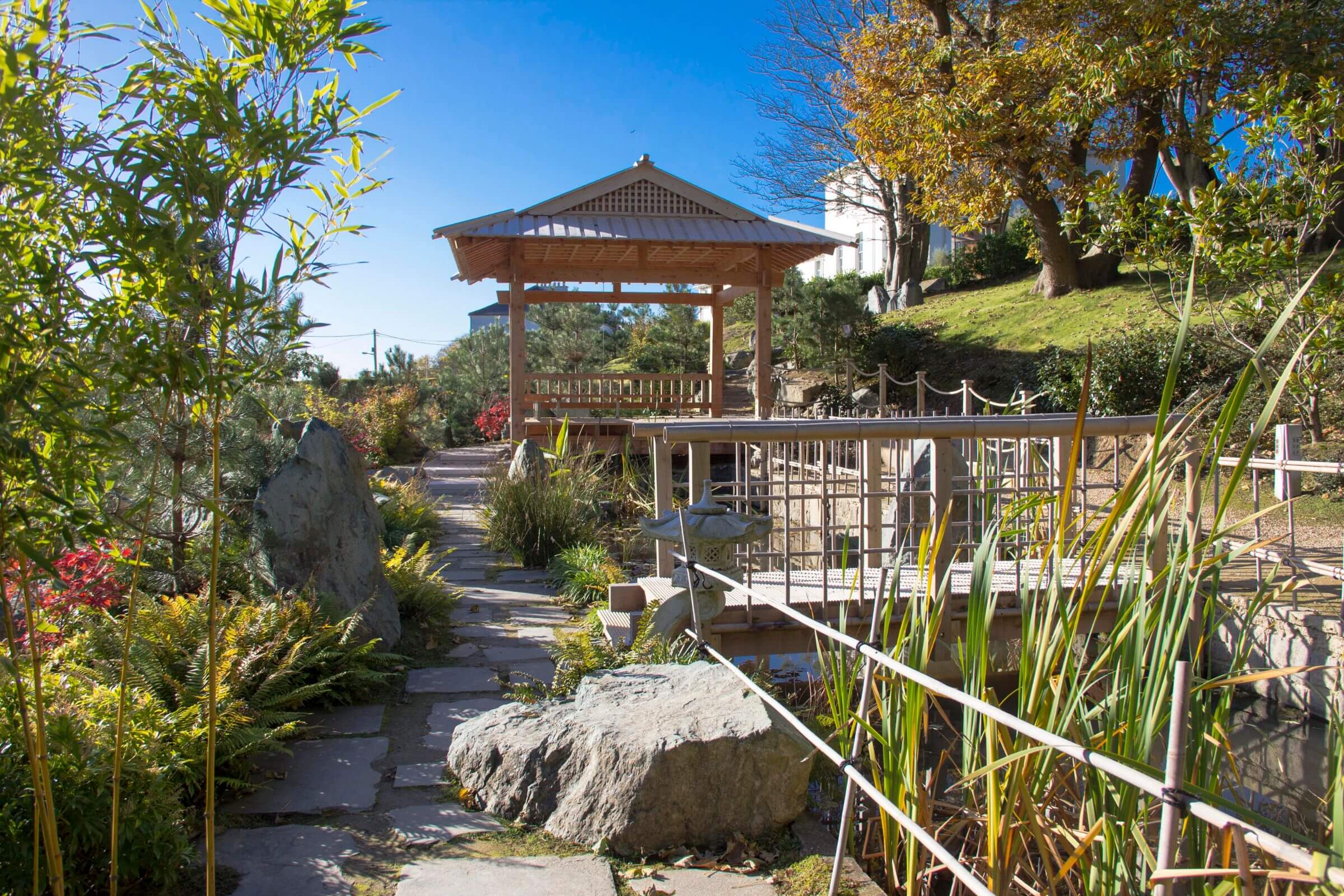Image of the Japanese Gardens in County Waterford