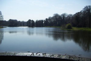Stradbally  Demesne