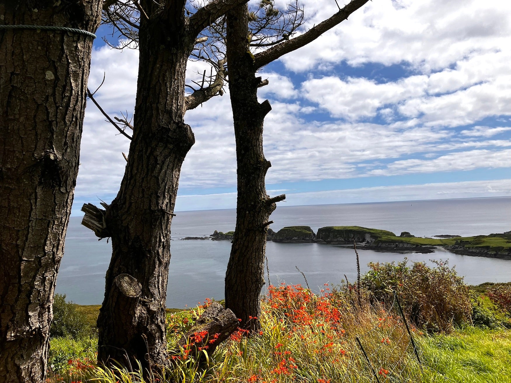 The coastline of Union Hall in West Cork