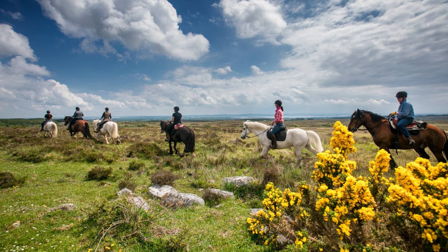 Group of people riding horseback through a field.