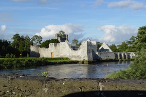 Desmond Castle, Adare