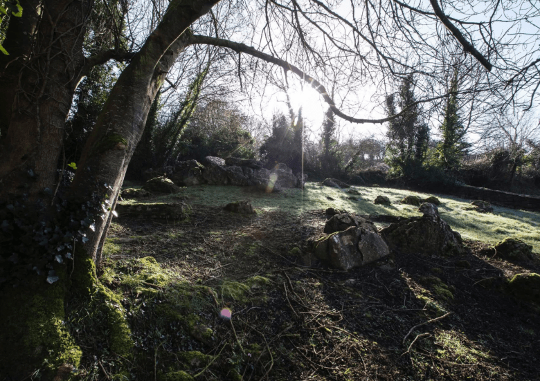 The Road to the Otherworld: Bus Tour of Lough Gur