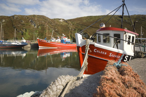 Cape Clear Island - Cléire