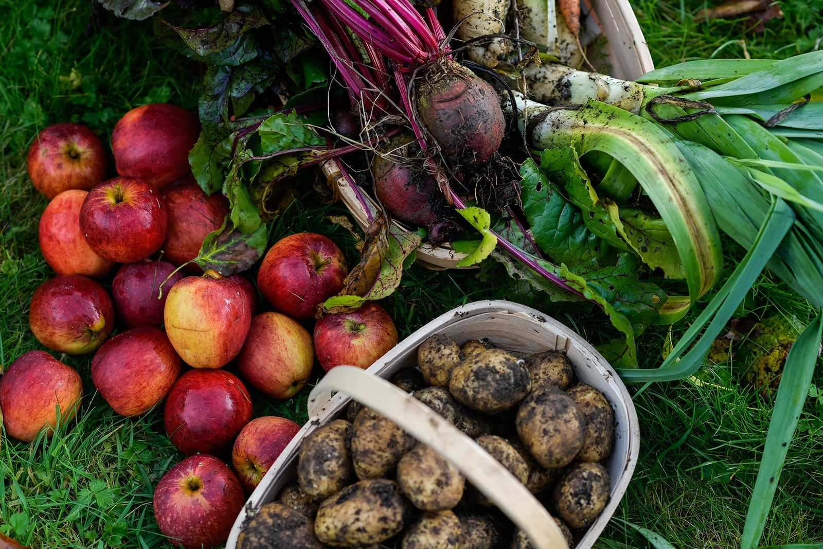 Make the most of Ireland's produce.