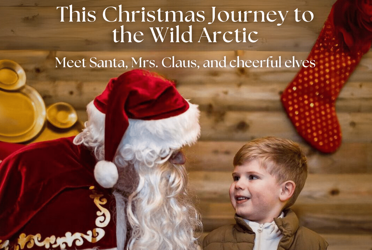 A Santa talking to a young boy
