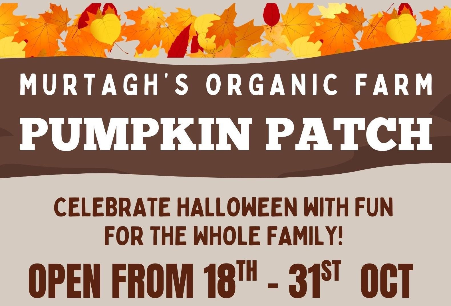 Pumpkin Patch at Murtagh's Organic Farm