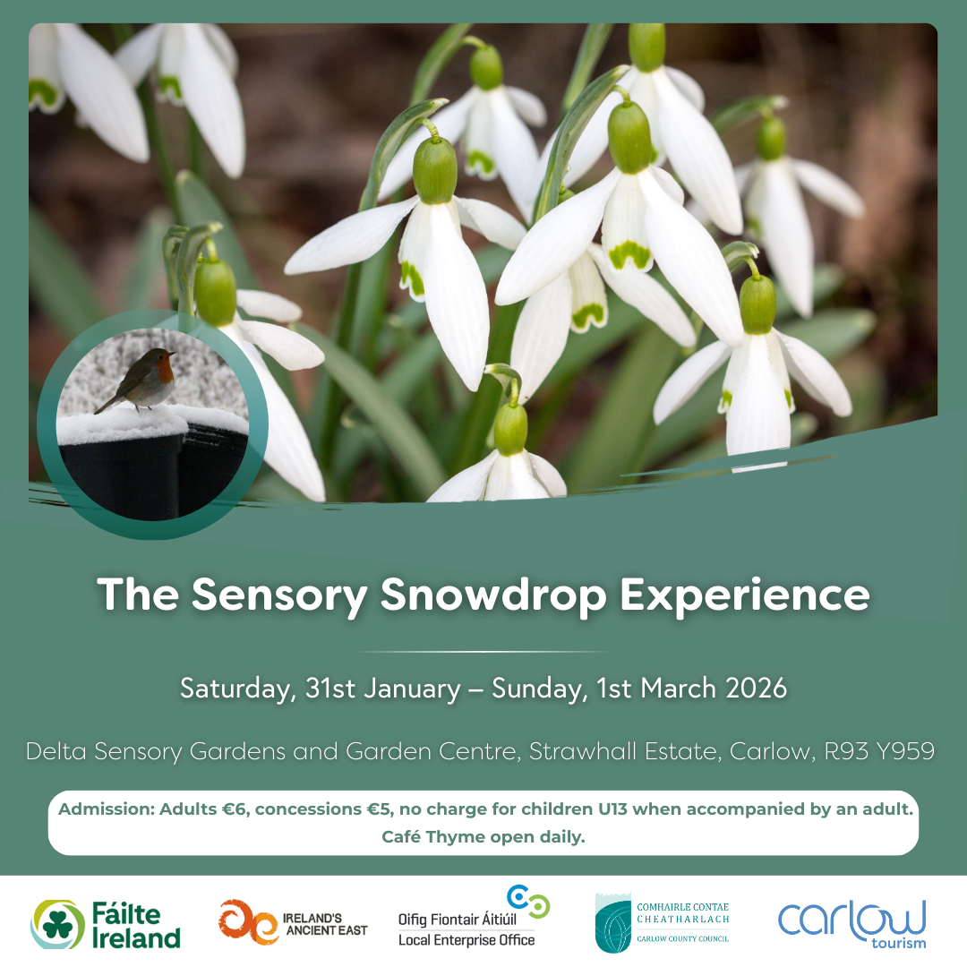 Poster for Carlow Snowdrop Time - Delta Sensory Gardens with small plants with white blooms