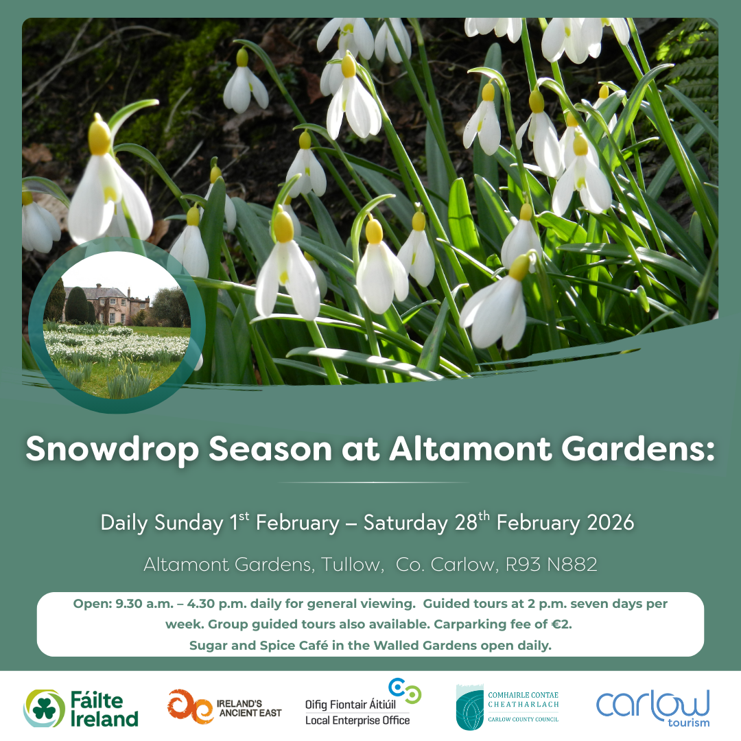 Poster for Snowdrop Season at Altamont Gardens with picture of small white flowers