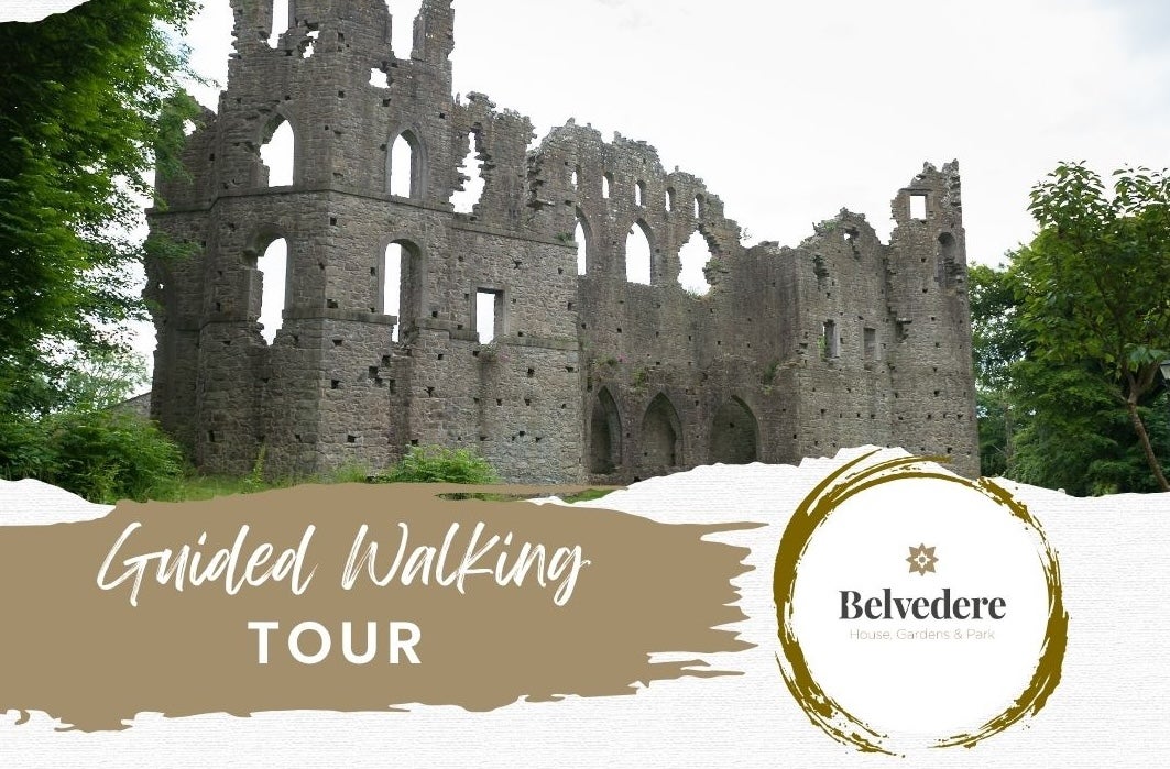 Belvedere Guided Walking Tours, poster with picture of a ruined castle