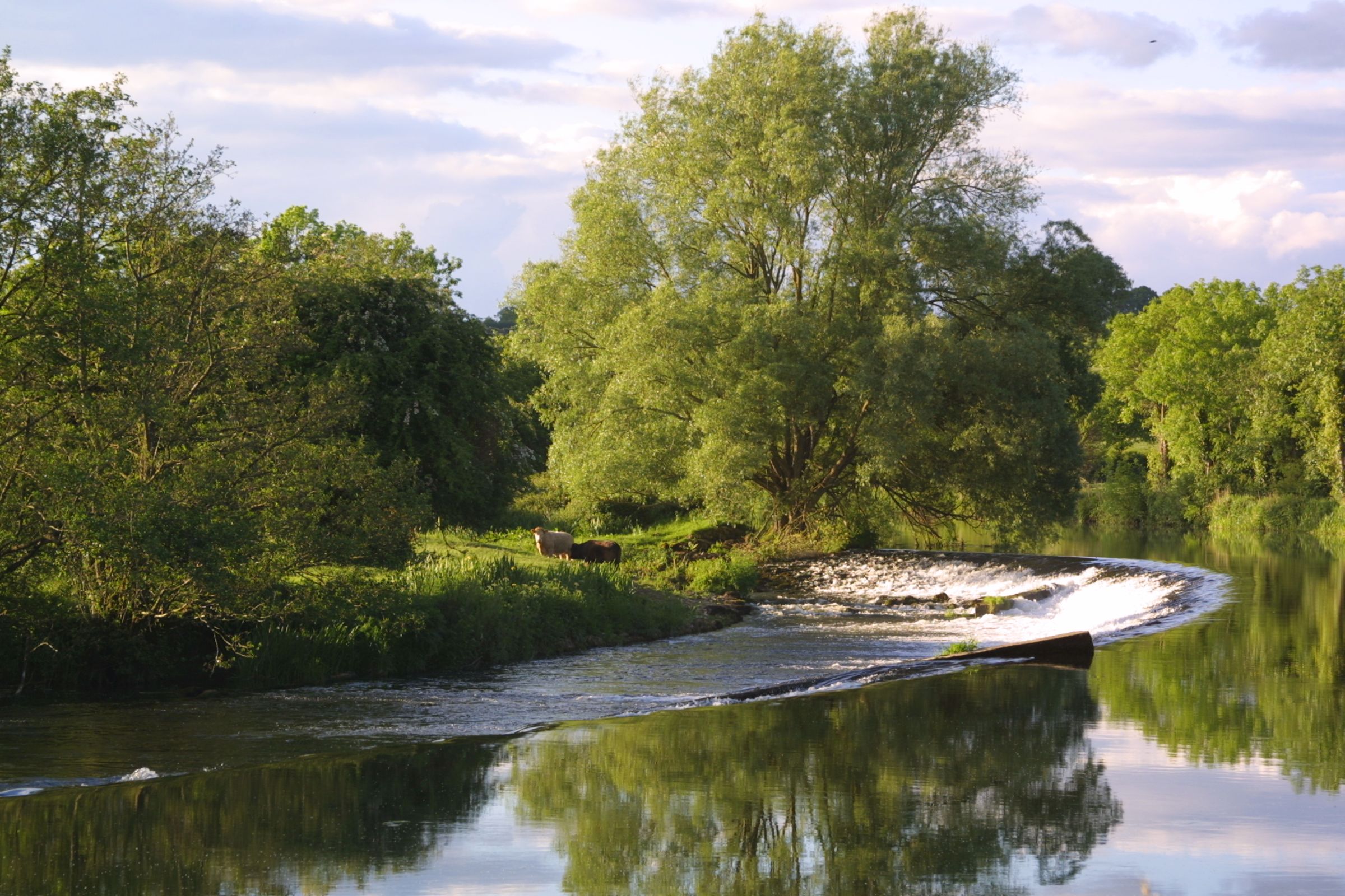 Image of Clashganny Lock along The Barrow Way in Borris in County Carlow