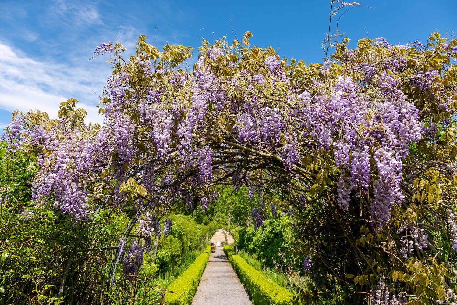The gardens at Portumna Castle in Co Galway