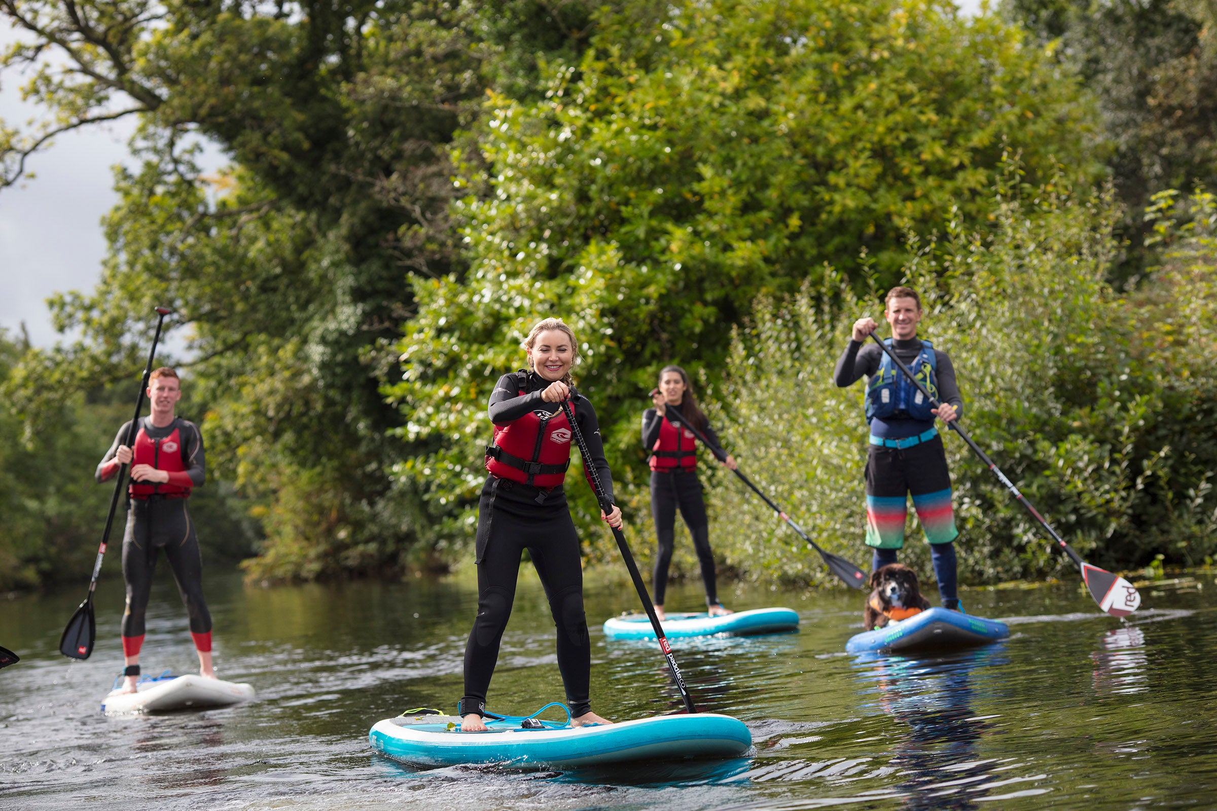Four people and a dog enjoying paddleboarding in Killaloe Co. Clare