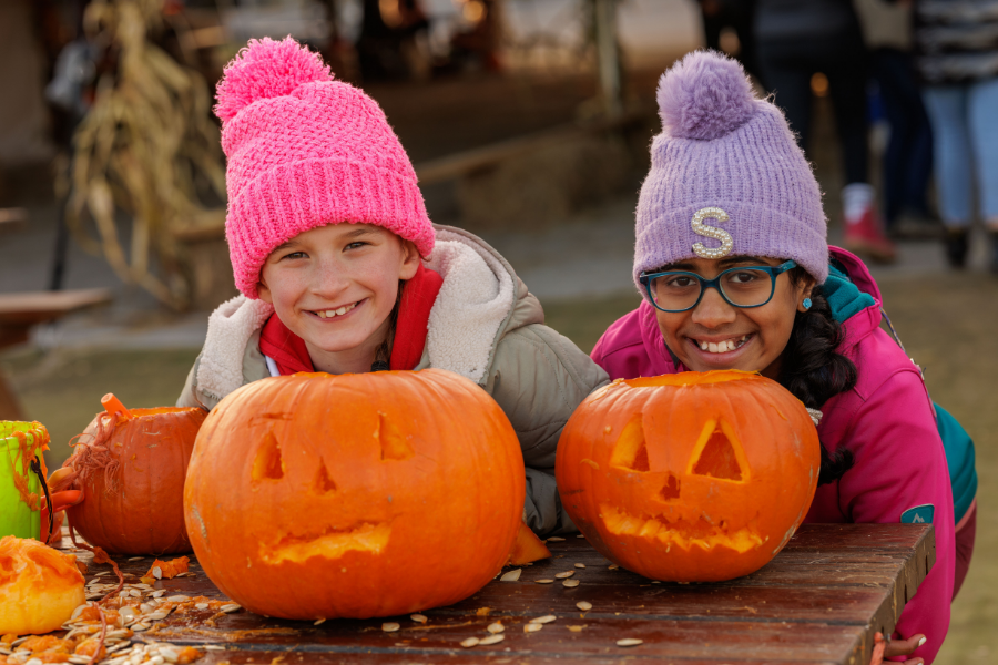 Two children beam with pride beside their freshly carved pumpkins at Nore Valley Park's Pumpkin Patch, a fun family activity included in every visit.